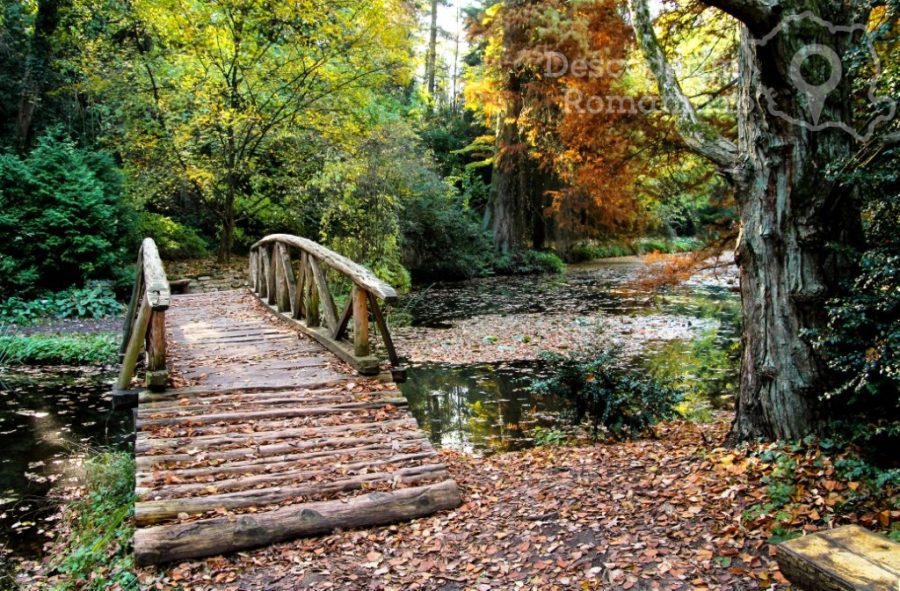 Parcul-Dendrologic-Simeria-–-comoara-ascunsa-din-Transilvania-19-900x591 Parcul Dendrologic Simeria – comoara ascunsa din Transilvania (19)