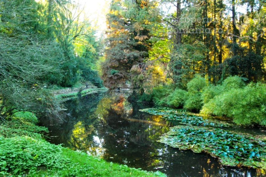 Parcul-Dendrologic-Simeria-–-comoara-ascunsa-din-Transilvania-25-900x600 Parcul Dendrologic Simeria – comoara ascunsa din Transilvania (25)