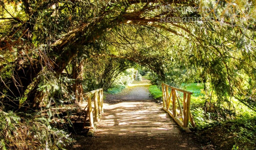 Parcul Dendrologic Simeria – comoara ascunsa din Transilvania