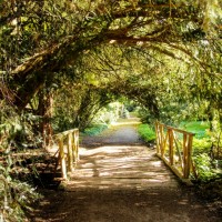 Parcul Dendrologic Simeria – comoara ascunsa din Transilvania
