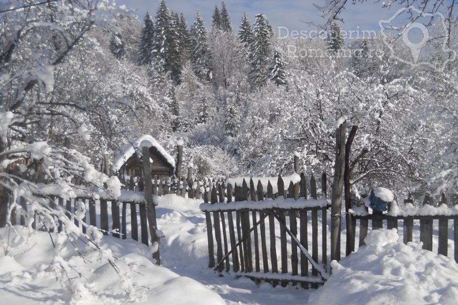 Bucovina-îmbracată-în-haine-de-sărbătoare-900x600 Crăciun în Bucovina