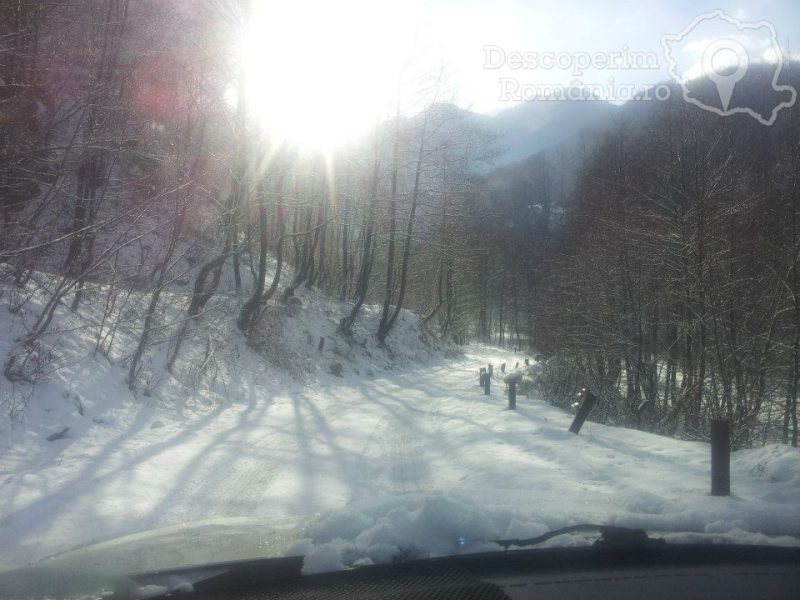 Cazare-la-Pensiunea-Casuta-din-Padure-din-Malaia-Valcea-Oltenia-10-800x600 Cazare la Pensiunea Casuta din Padure din Malaia - Valcea - Oltenia (10)