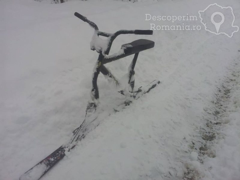Cazare-la-Pensiunea-Casuta-din-Padure-din-Malaia-Valcea-Oltenia-12-800x600 Cazare la Pensiunea Casuta din Padure din Malaia - Valcea - Oltenia (12)