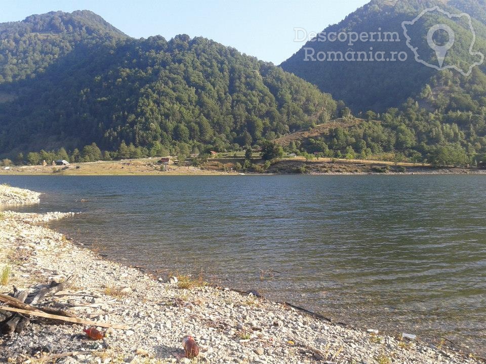 Cazare la Pensiunea Casuta din Padure din Malaia - Valcea - Oltenia