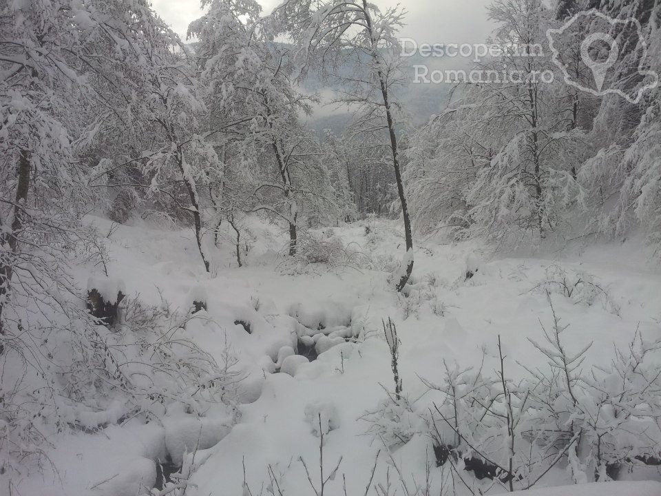 Cazare la Pensiunea Casuta din Padure din Malaia - Valcea - Oltenia