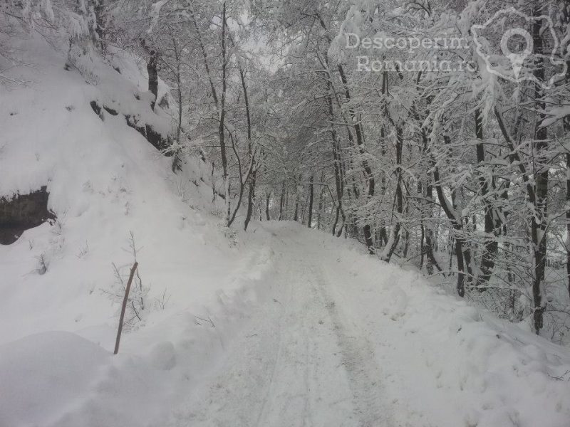 Cazare-la-Pensiunea-Casuta-din-Padure-din-Malaia-Valcea-Oltenia-9-800x600 Cazare la Pensiunea Casuta din Padure din Malaia - Valcea - Oltenia (9)