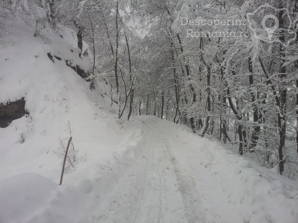 Cazare la Pensiunea Casuta din Padure din Malaia - Valcea - Oltenia