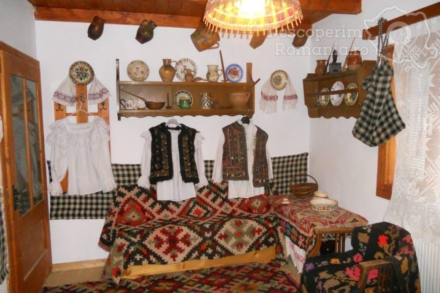 Pensiunea Bușta House din Bogdan Vodă
