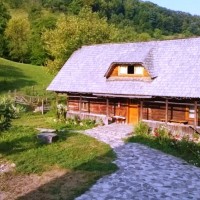 Pensiunea Ioana din Vadu Izei