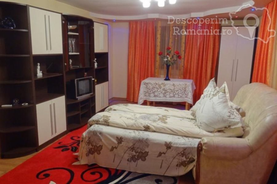 Pensiunea Moldovița – Apartament cu 2 camere