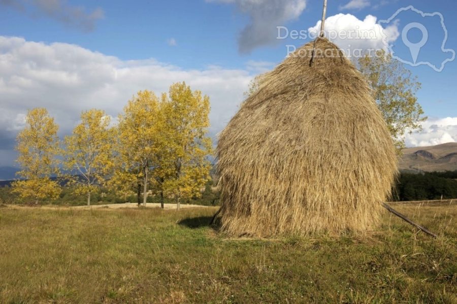 Pensiunea-Poienita-din-Budesti-15-900x600 Pensiunea Poienita din Budesti (15)