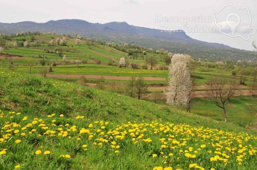 Pensiunea-Poienita-din-Budesti-61-900x598 Pensiunea Poienita din Budesti (61)