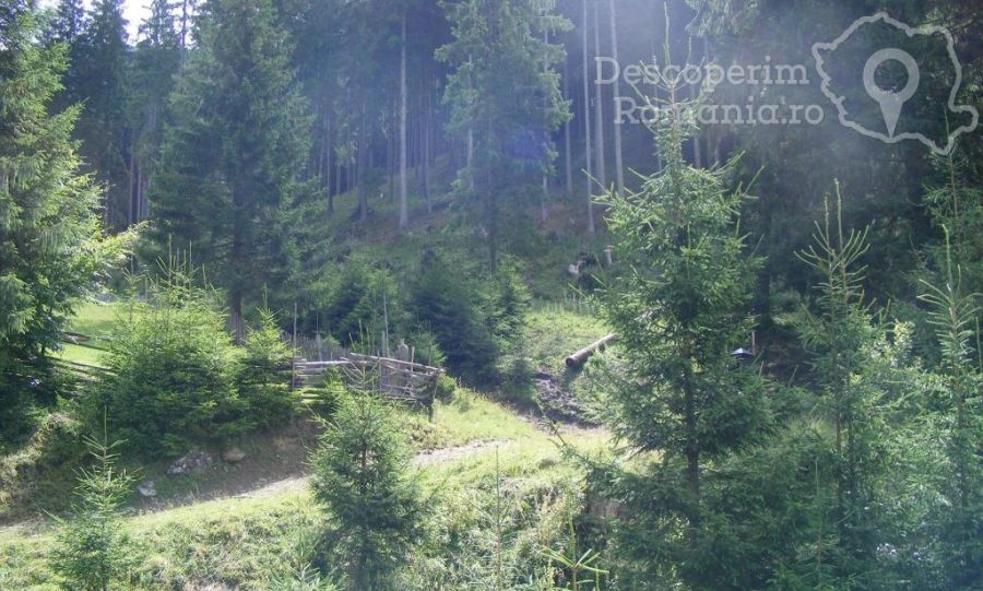 Pensiunea-Bradet-din-Brosteni-Suceava-Bucovina-12-900x541 Pensiunea Bradet din Brosteni - Suceava - Bucovina (12)