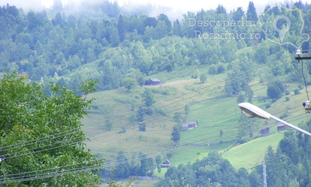 Pensiunea Bradet din Broşteni - Suceava - Bucovina