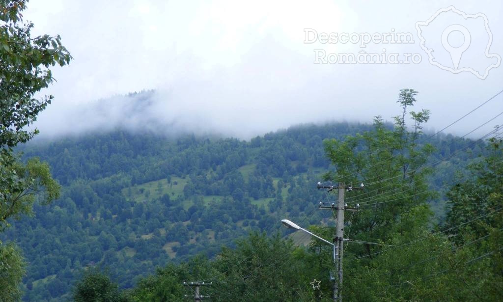 Pensiunea Bradet din Broşteni - Suceava - Bucovina