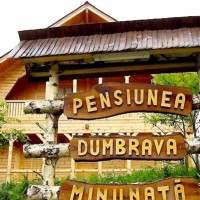 Pensiunea Dumbrava Minunată din Vadu Izei