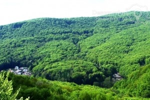 Băile Olănești