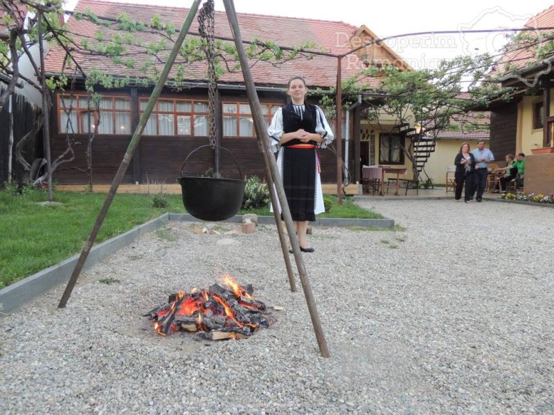 Cazare-la-Pensiunea-La-Nana-din-Sibiel-Sibiu-Marginimea-Sibiului-17-800x600 Cazare la Pensiunea La Nana din Sibiel - Sibiu - Marginimea Sibiului (17)