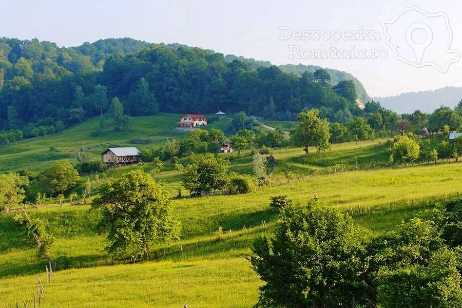 Vila Ally din Baile Olanesti