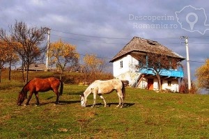 Cazare-la-Vila-Ally-din-Baile-Olanesti-Valcea-Oltenia-31-300x200 Cazare la Vila Ally din Baile Olanesti - Valcea - Oltenia (31)