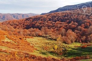 Cazare-la-Vila-Ally-din-Baile-Olanesti-Valcea-Oltenia-32-300x200 Cazare la Vila Ally din Baile Olanesti - Valcea - Oltenia (32)