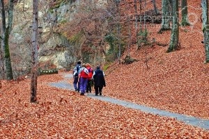 Cazare-la-Vila-Ally-din-Baile-Olanesti-Valcea-Oltenia-34-300x200 Cazare la Vila Ally din Baile Olanesti - Valcea - Oltenia (34)