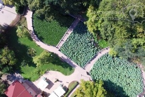 Cazare-la-Vila-Carlos-din-Baile-Felix-Bihor-Crisana-DescoperimRomania.ro-130-300x200 cazare-la-vila-carlos-din-baile-felix-bihor-crisana-descoperimromania-ro-130