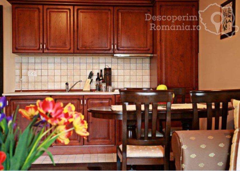 Cazare-la-Iosefin-Residence-Apart-Hotel-din-Timisoara-Timis-Banat-16-839x600 Cazare la Iosefin Residence Apart Hotel din Timisoara - Timis - Banat (16)