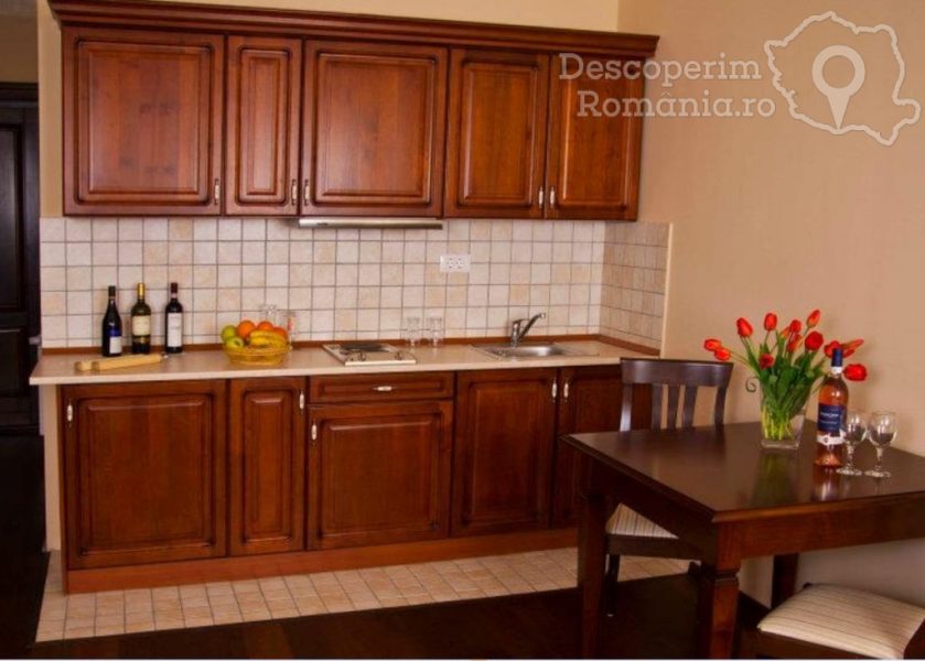 Cazare-la-Iosefin-Residence-Apart-Hotel-din-Timisoara-Timis-Banat-62-839x600 Cazare la Iosefin Residence Apart Hotel din Timisoara - Timis - Banat (62)