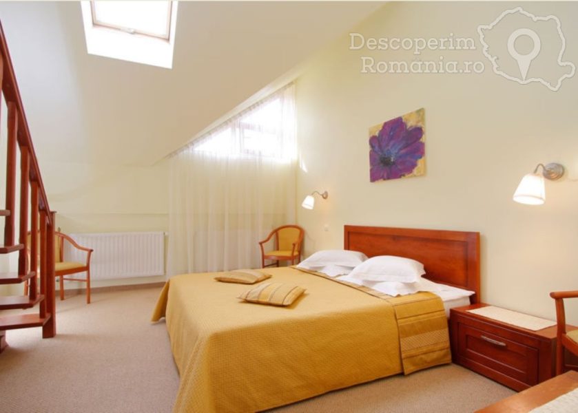 Pensiunea Noel – Apartament (mansardă)