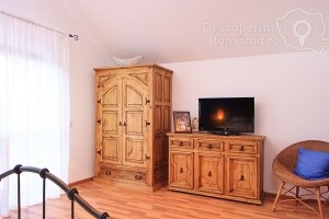Cazare-la-Pensiunea-Seven-Boutique-din-Baile-Olanesti-Valcea-Oltenia-102-300x200 Cazare la Pensiunea Seven Boutique din Baile Olanesti - Valcea - Oltenia (102)
