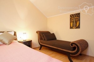 Cazare-la-Pensiunea-Seven-Boutique-din-Baile-Olanesti-Valcea-Oltenia-129-300x200 Pensiunea Seven Boutique din Băile Olăneşti
