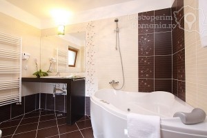 Cazare-la-Pensiunea-Seven-Boutique-din-Baile-Olanesti-Valcea-Oltenia-130-300x200 Pensiunea Seven Boutique din Băile Olăneşti