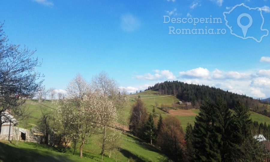 Arieseni-coltul-pitoresc-din-Muntii-Apuseni-11-900x540 Arieseni - coltul pitoresc din Muntii Apuseni (11)