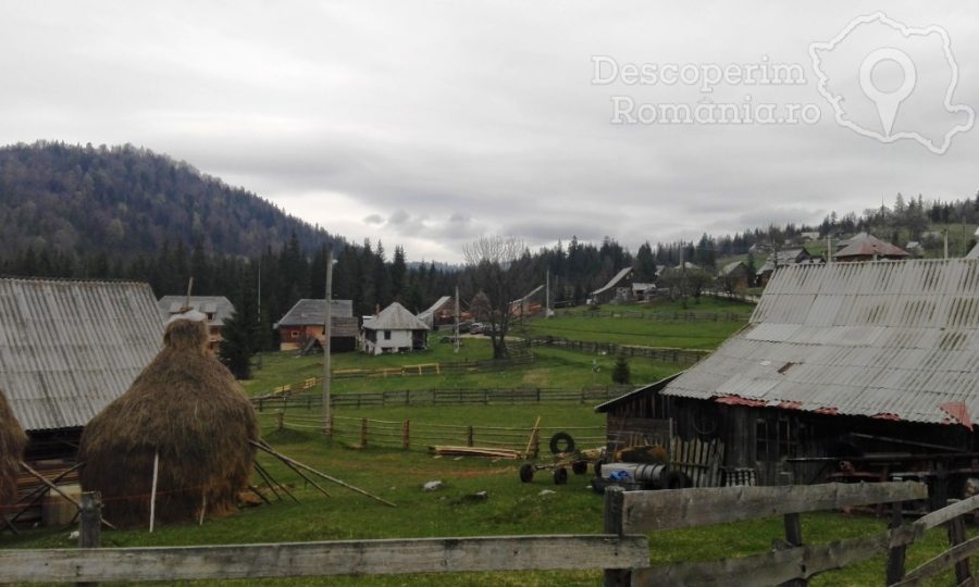 Arieseni-coltul-pitoresc-din-Muntii-Apuseni-15-900x540 Arieseni - coltul pitoresc din Muntii Apuseni (15)