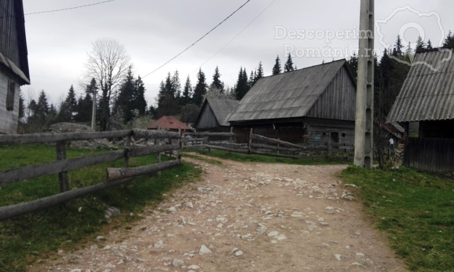 Arieseni-coltul-pitoresc-din-Muntii-Apuseni-16-900x540 Arieseni - coltul pitoresc din Muntii Apuseni (16)