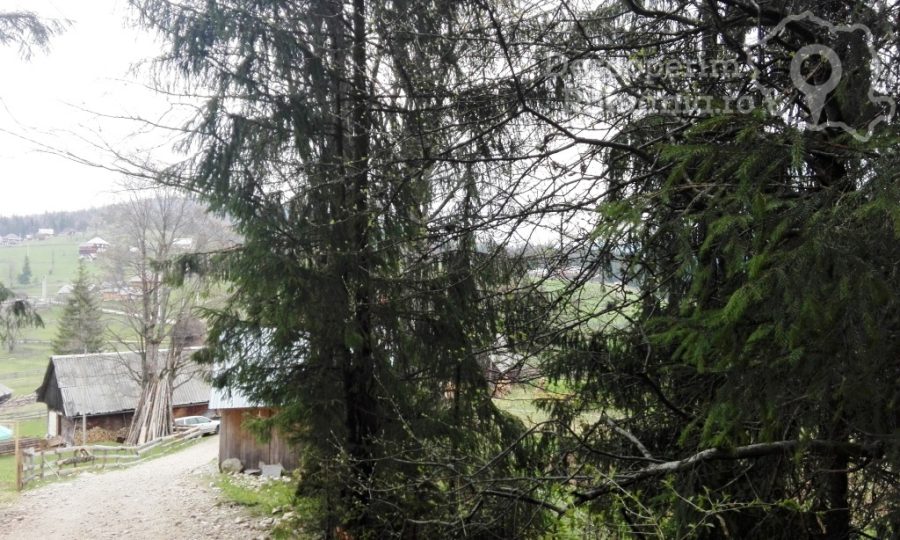 Arieseni-coltul-pitoresc-din-Muntii-Apuseni-17-900x540 Arieseni - coltul pitoresc din Muntii Apuseni (17)