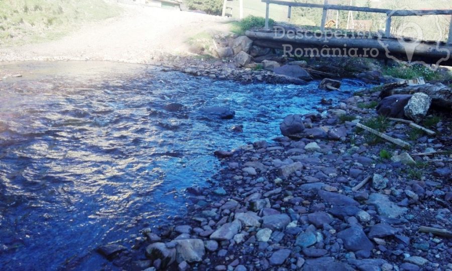 Arieseni-coltul-pitoresc-din-Muntii-Apuseni-6-900x540 Arieseni - coltul pitoresc din Muntii Apuseni (6)