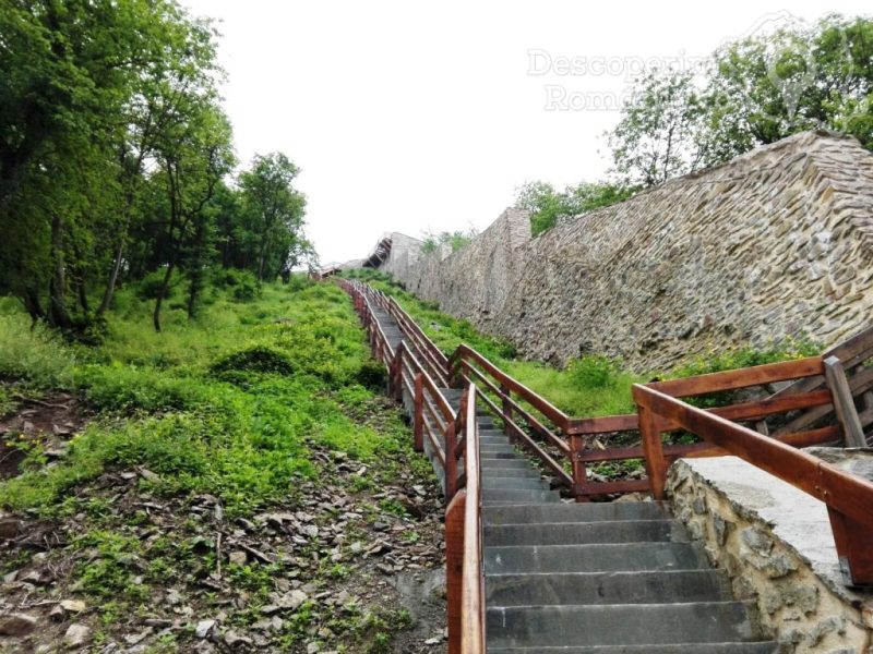 Cetatea-Devei-11-800x600 Cetatea Devei (11)