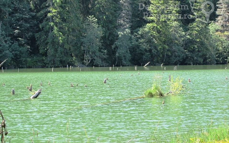 Lacul Roșu - plimbare printre rățuște