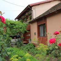 Casa Elena din Eşelniţa