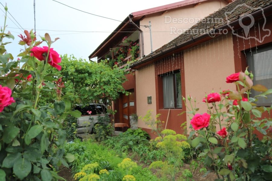 Cazare-la-Casa-Elena-din-Eselnita-Mehedinti-Cazanele-Dunarii-1-900x600 Casa Elena din Eşelniţa