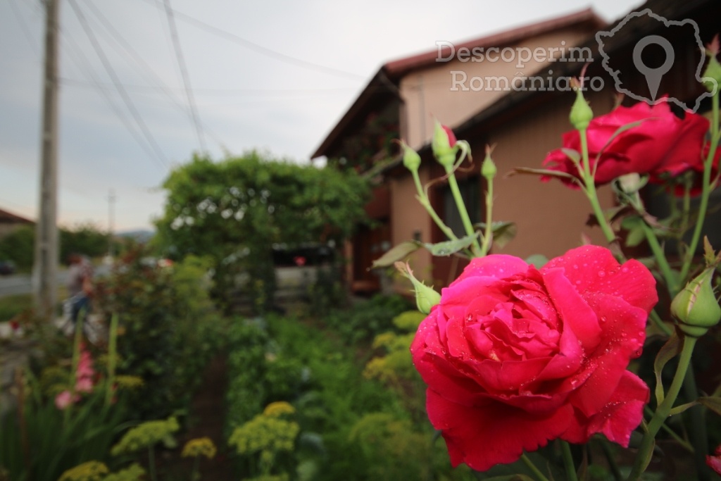 Casa Elena din Eşelniţa