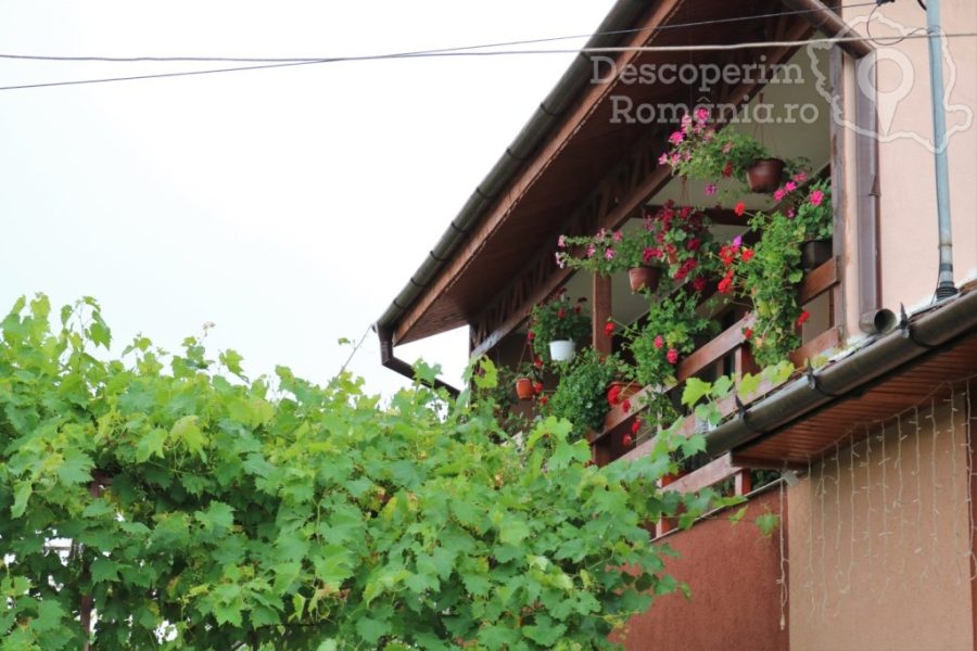 Cazare-la-Casa-Elena-din-Eselnita-Mehedinti-Cazanele-Dunarii-8-900x600 Cazare la Casa Elena din Eselnita - Mehedinti - Cazanele Dunarii (8)