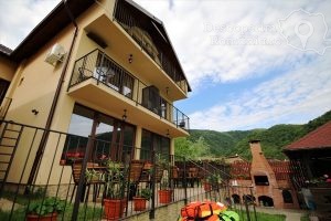 Cazare-la-Vila-Golful-Dunarii-din-Dubova-Cazanele-Dunarii-DescoperimRomania-36-300x200 Cazare la Vila Golful Dunarii din Dubova - Cazanele Dunarii - DescoperimRomania (36)