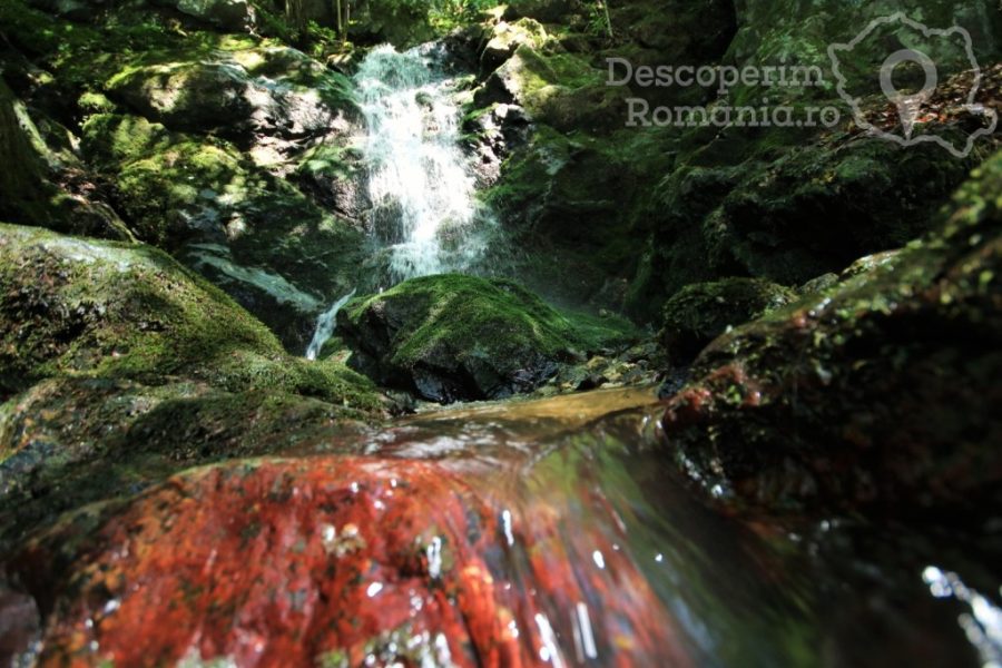 Cascada-Prigor-izvor-de-apă-ocrotit-de-natură-900x600 Cazare Prigor - www.DescoperimRomania.ro