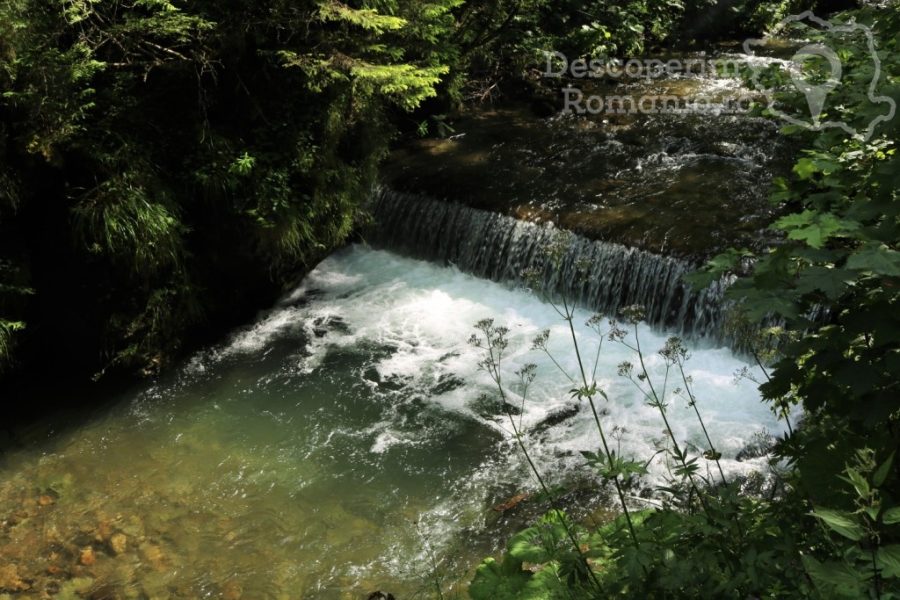 Cascada-Vălul-Miresei-voalul-munților-Vlădeasa-16-900x600 Cascada Vălul Miresei - voalul munților Vlădeasa (16)