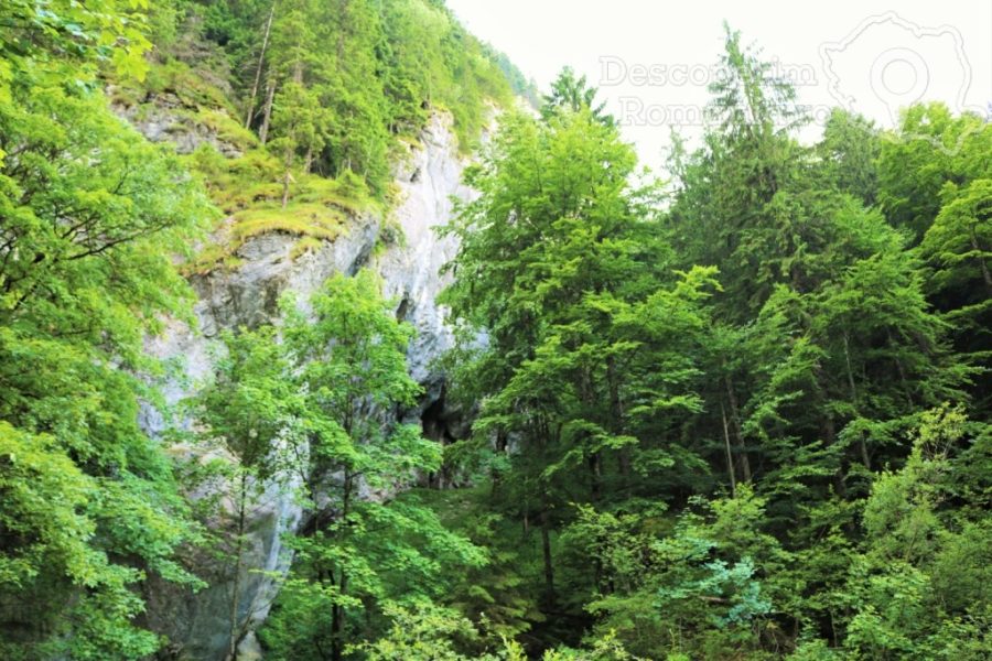 Cascada-Vălul-Miresei-voalul-munților-Vlădeasa-17-900x600 Cascada Vălul Miresei - voalul munților Vlădeasa (17)