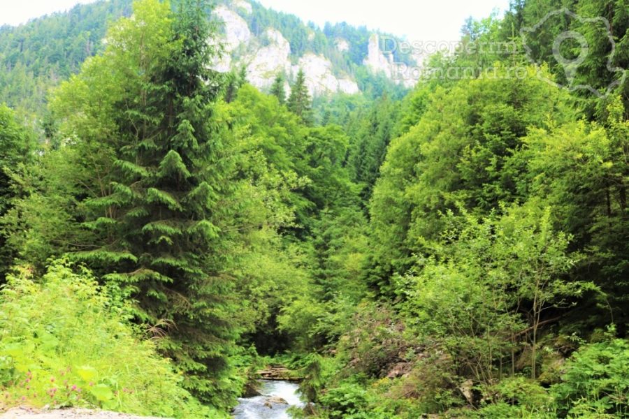 Cascada-Vălul-Miresei-voalul-munților-Vlădeasa-18-900x600 Cascada Vălul Miresei - voalul munților Vlădeasa (18)