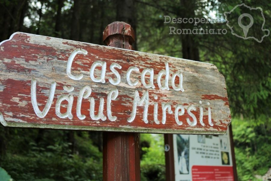 Cascada-Vălul-Miresei-voalul-munților-Vlădeasa-2-900x600 Cascada Vălul Miresei - voalul munților Vlădeasa (2)